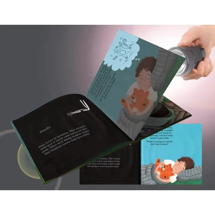 Shine-A-Light: the Human Body EDC Publishing Lil Tulips