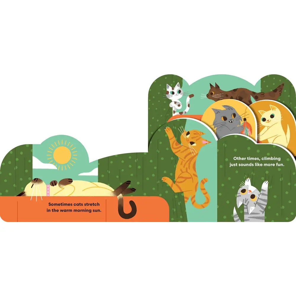 Some Cats Board Book publisher preview image 4