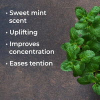Spearmint Essential Oil Plant Therapy Plant Therapy Lil Tulips