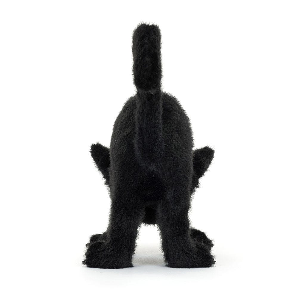 Spookipaws Cat Jellycat Lil Tulips
