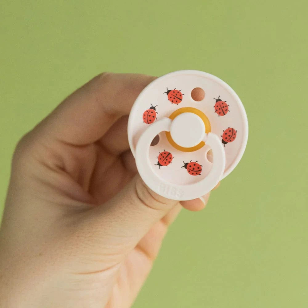 STUDIO Colour 2 PACK Ladybug - Violet Sky/Petal Bibs Pacifier Lil Tulips