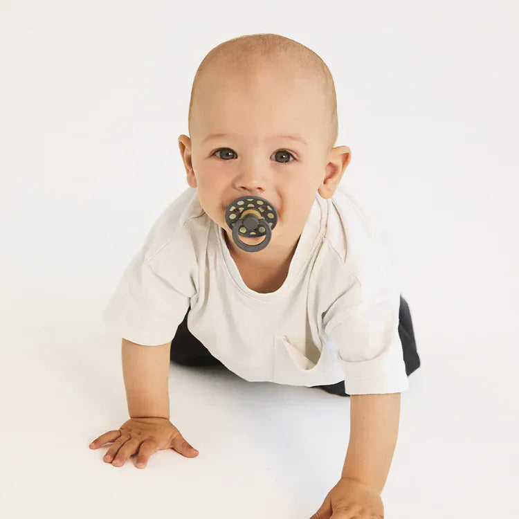 STUDIO Colour 2 Pack Polka - Sage/Iron Bibs Pacifier Lil Tulips