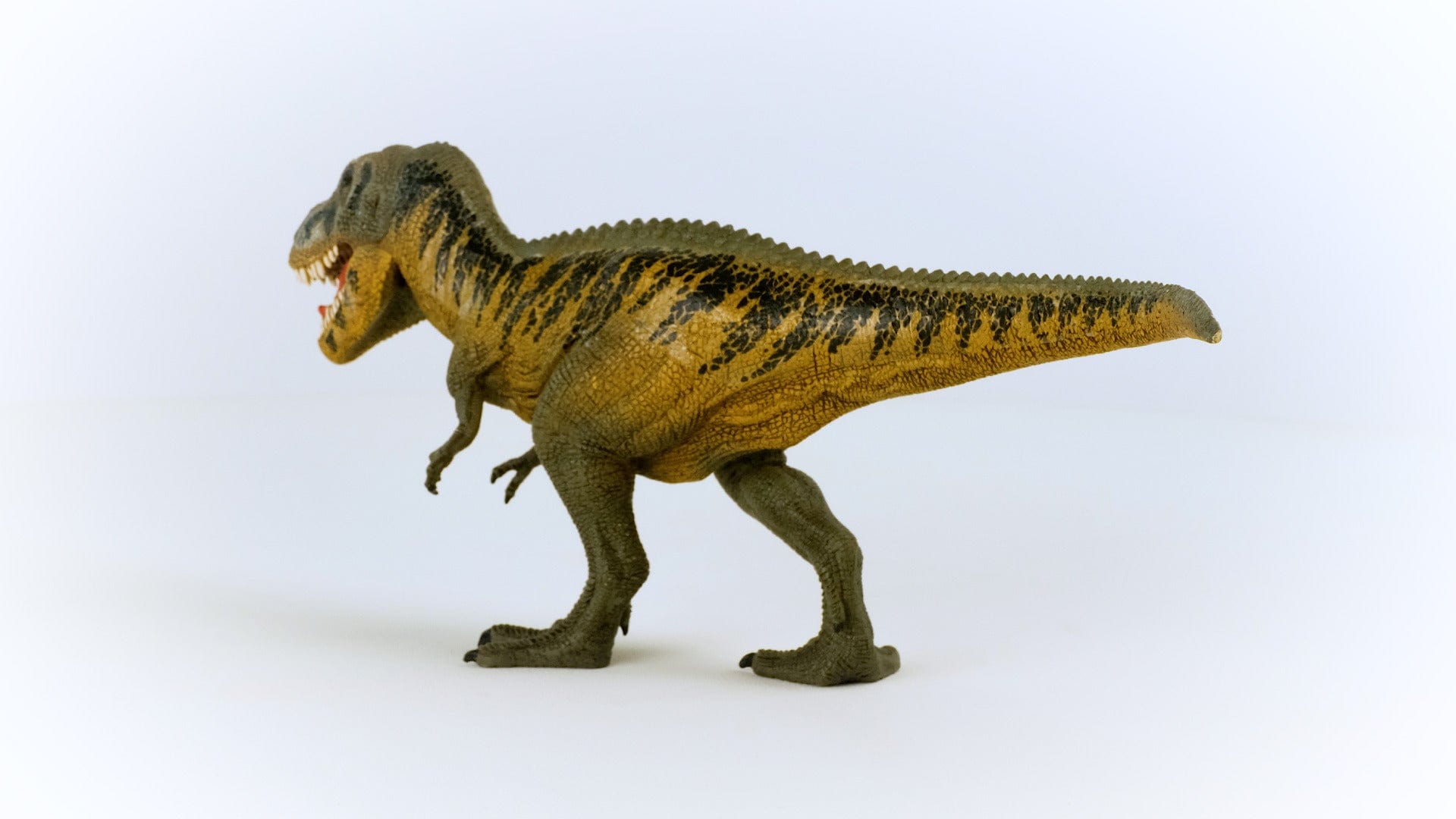 Tarbosaurus Dinosaur Toy Schleich Lil Tulips