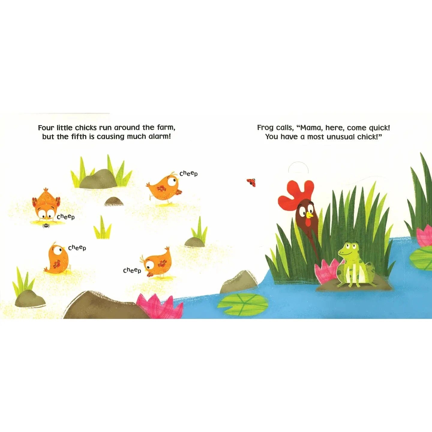 The Funny Farm: Cluck Cluck Duck EDC Publishing Lil Tulips
