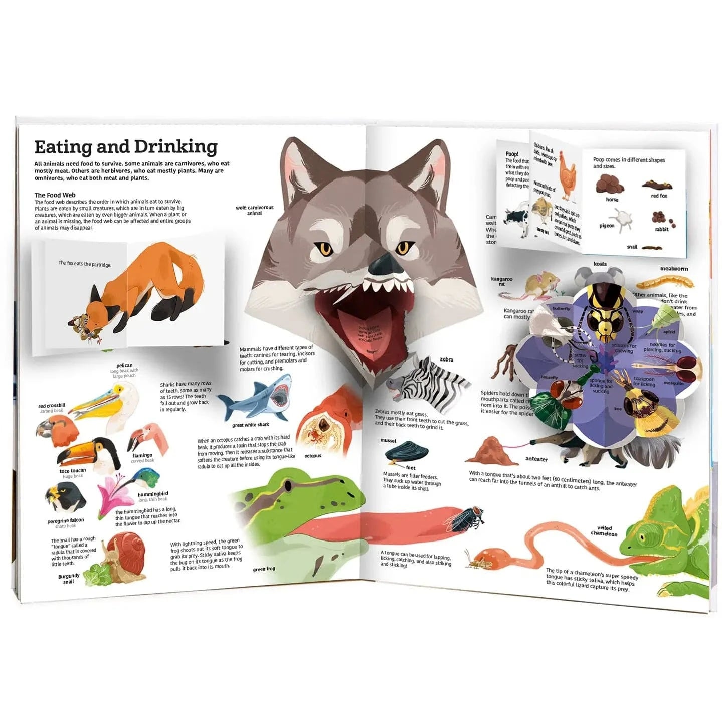 The Ultimate Book of Animals Chronicle Books Lil Tulips