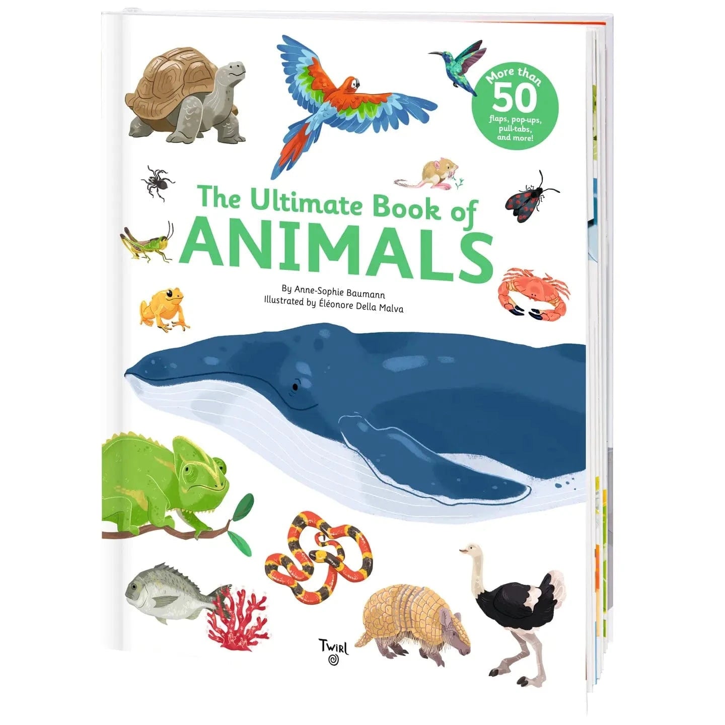 The Ultimate Book of Animals Chronicle Books Lil Tulips
