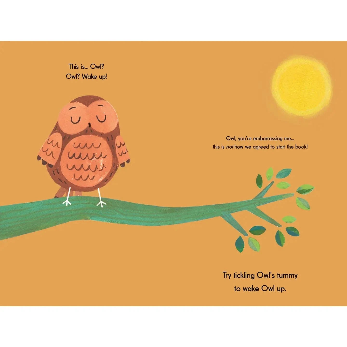 This Is Owl EDC Publishing Lil Tulips