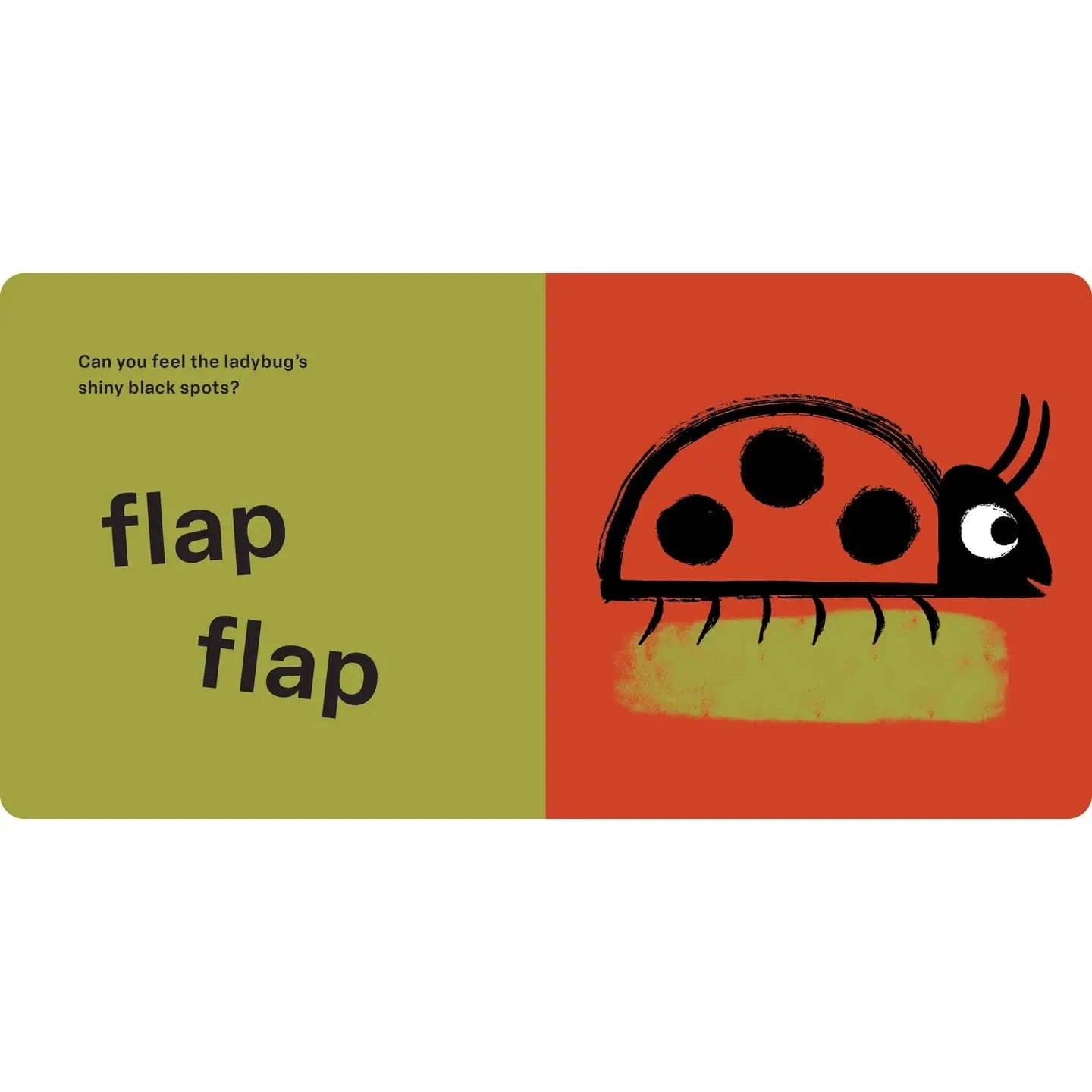 Touch and Feel: Bugs Hachette Lil Tulips