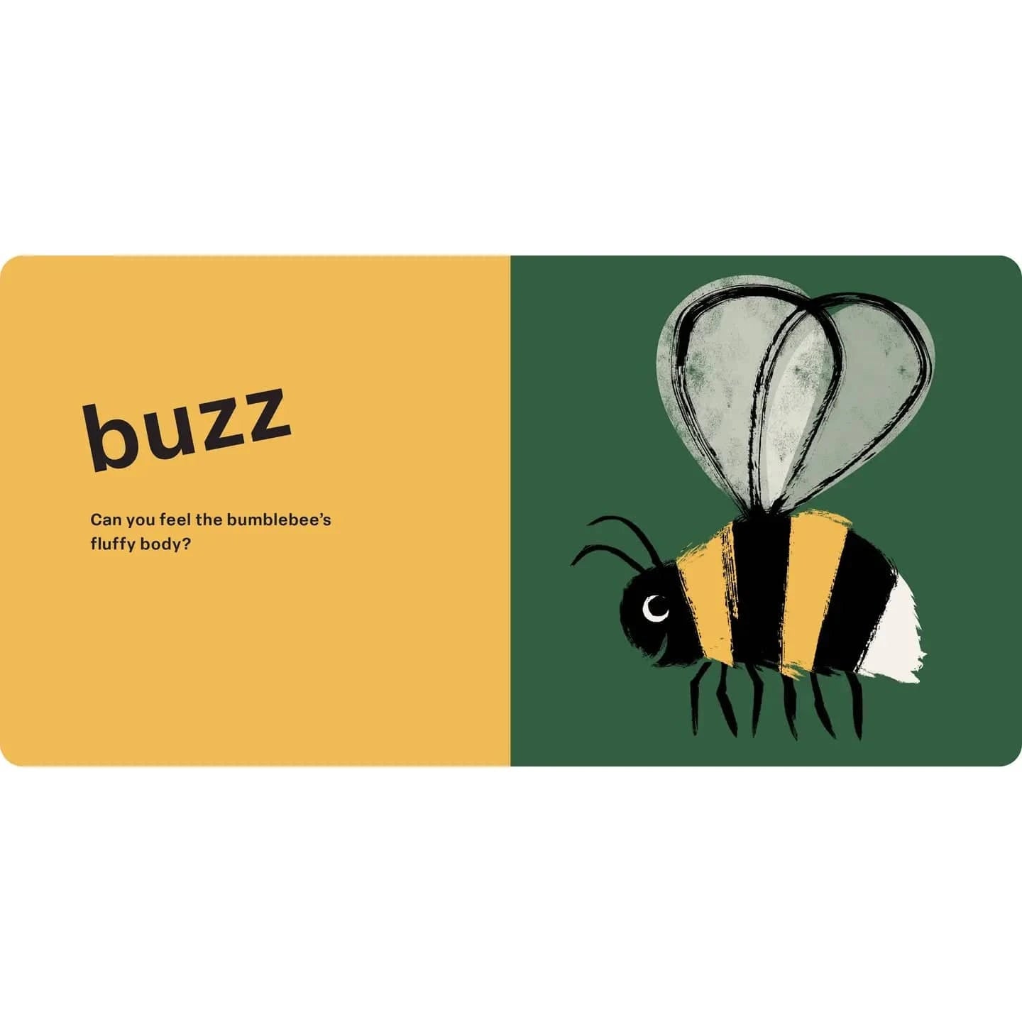 Touch and Feel: Bugs Hachette Lil Tulips