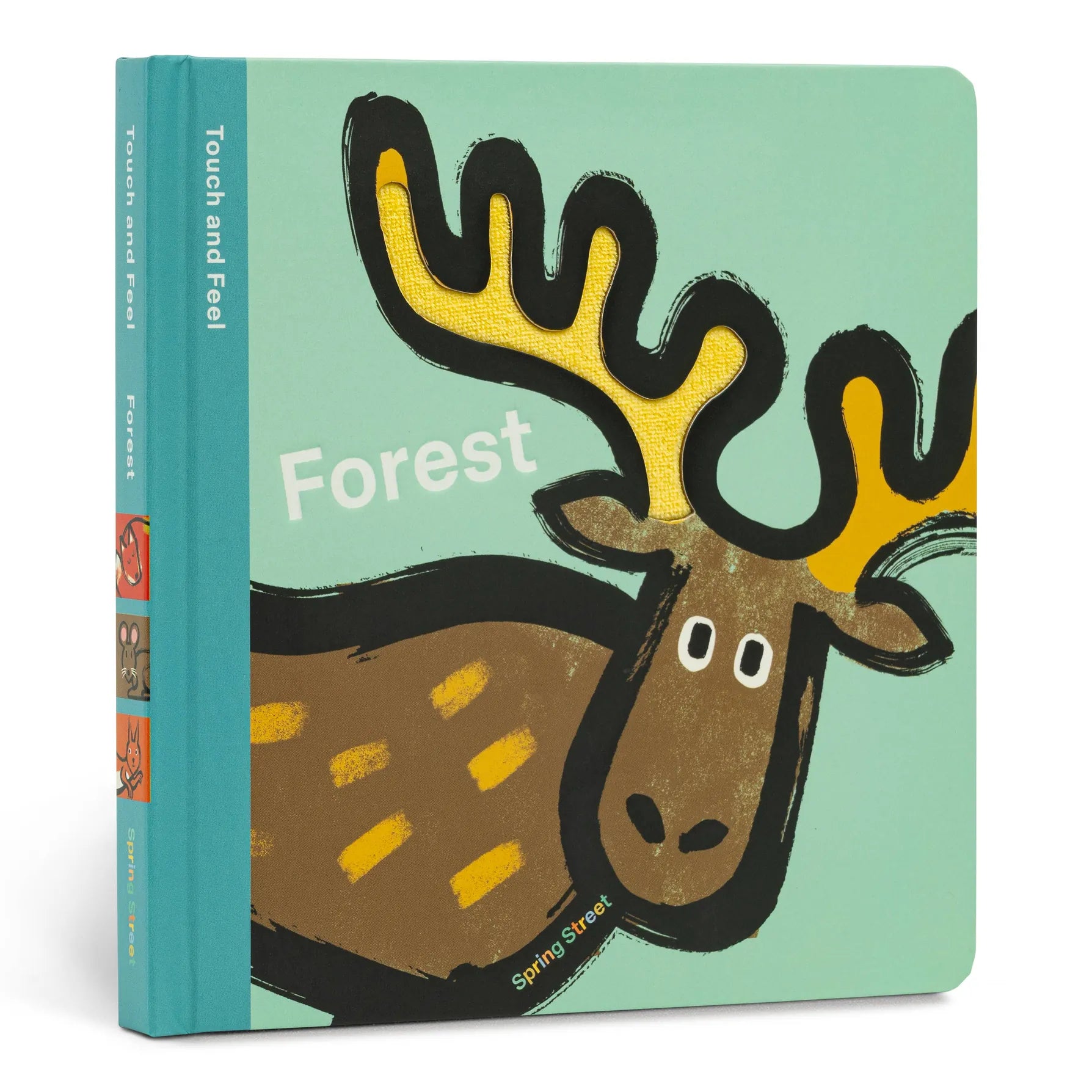 Touch and Feel: Forest Hachette Lil Tulips