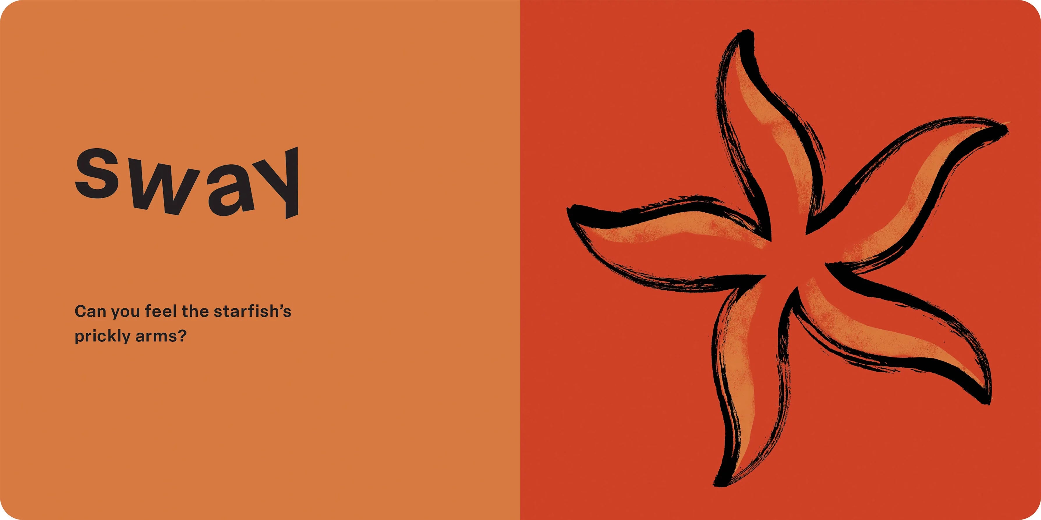 Touch and Feel: Ocean Hachette Lil Tulips