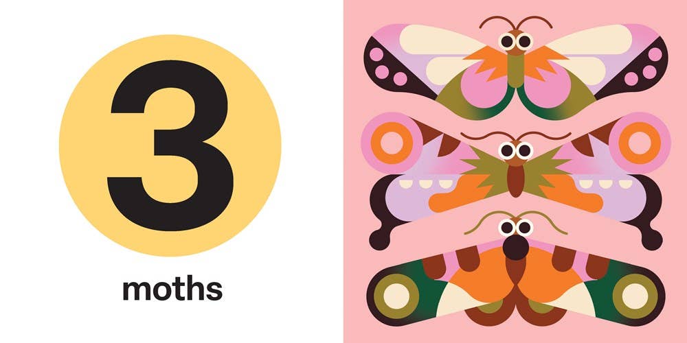Touch and Trace: Numbers Hachette Lil Tulips