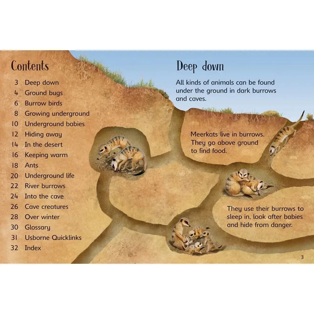 Underground Animals Harper Collins Childrens Lil Tulips