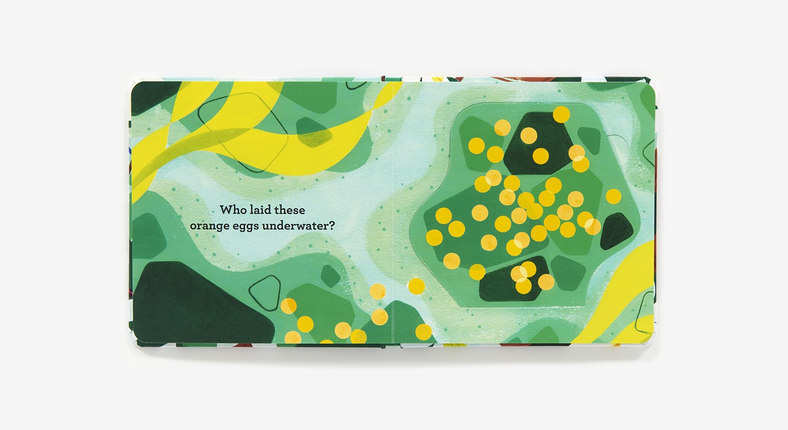 Who Laid These Eggs? - Lift-The-Flap Abrams Lil Tulips