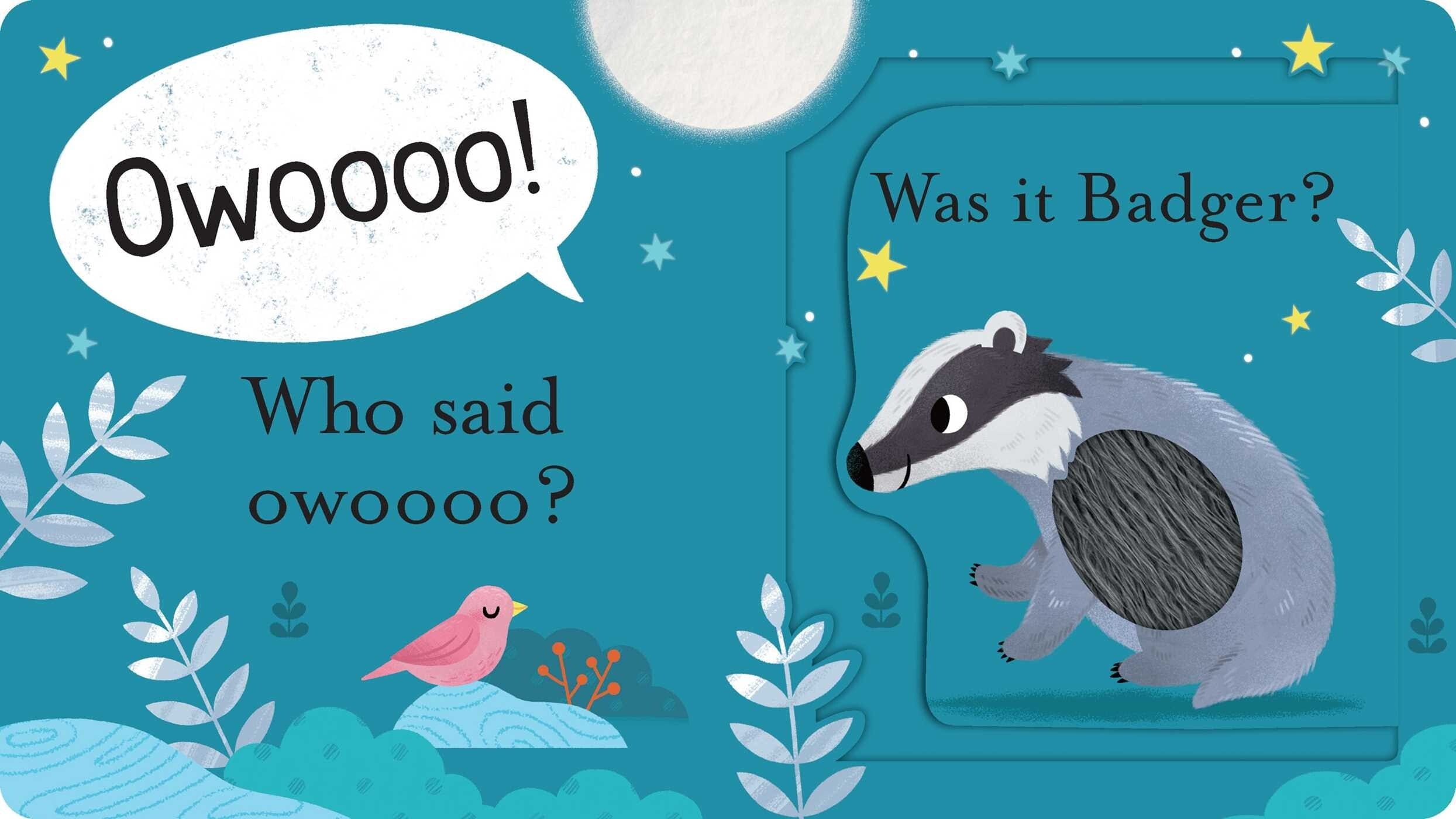 Who Said Hoot? Simon & Schuster Books Lil Tulips