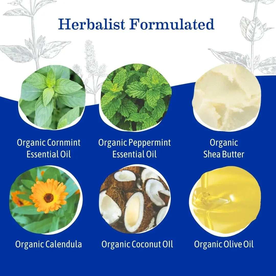 Wild Peppermint Hand & Body Wash Earth Mama Organics Lil Tulips