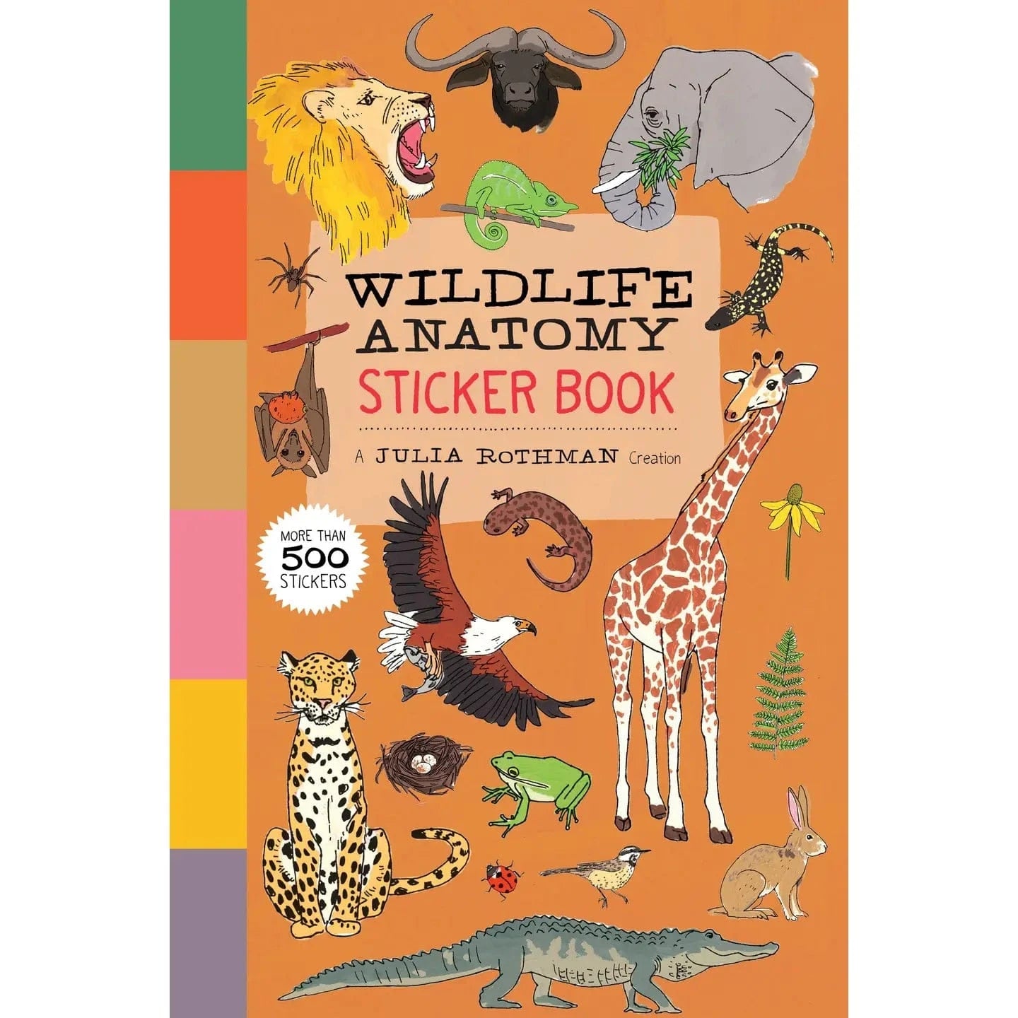 Wildlife Anatomy Sticker Book Hachette Lil Tulips