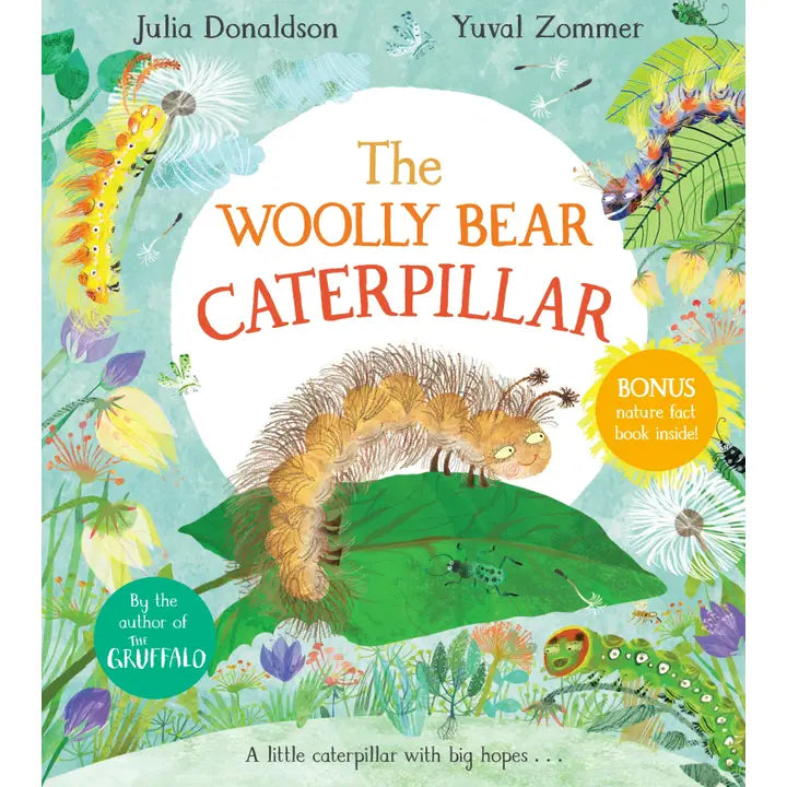 Woolly Bear Caterpillar Board Book Macmillan Publishers Lil Tulips