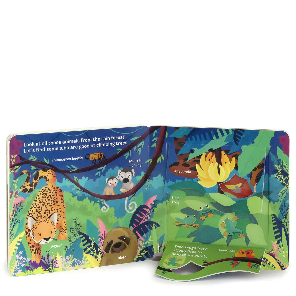 Zoo Interactive Lift a Flap Board Book Cottage Door Press Lil Tulips