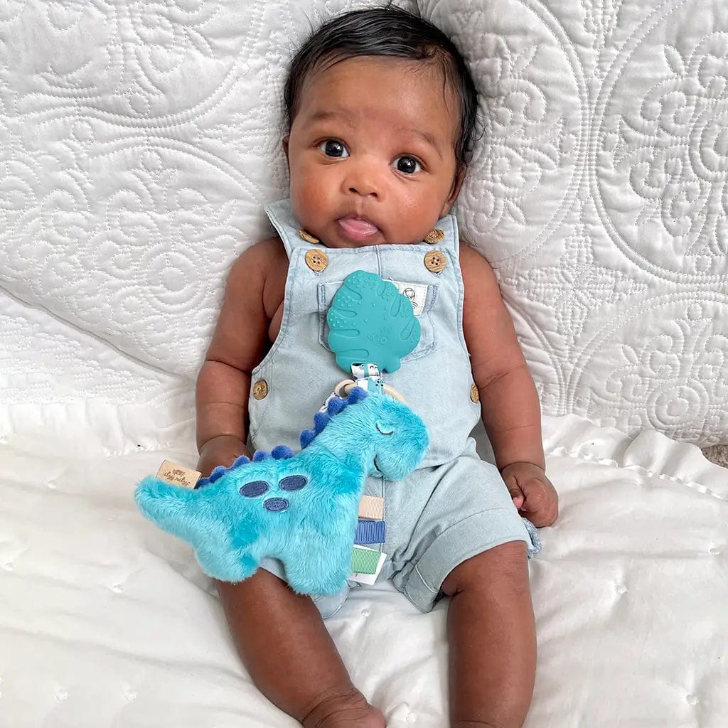 Blue Dino Itzy Pal™ Plush + Teether Itzy Ritzy Pacifiers & Teethers Lil Tulips