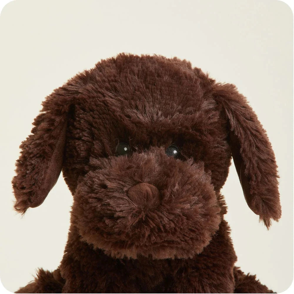 Chocolate Labrador Warmies Warmies Lil Tulips