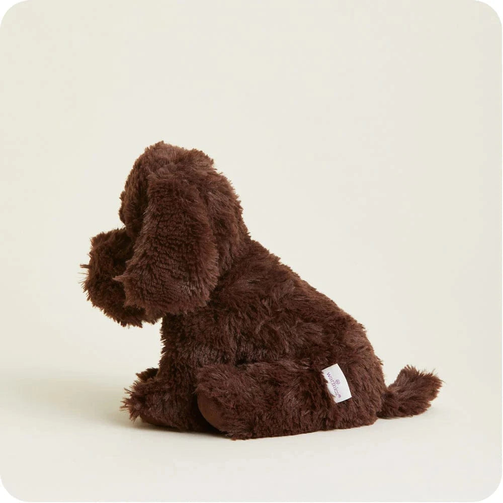 Chocolate Labrador Warmies Warmies Lil Tulips