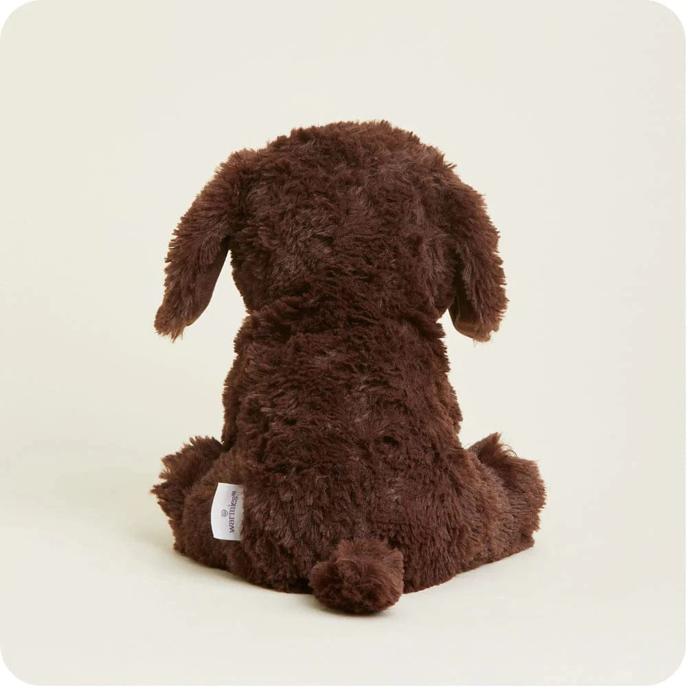 Chocolate Labrador Warmies Warmies Lil Tulips