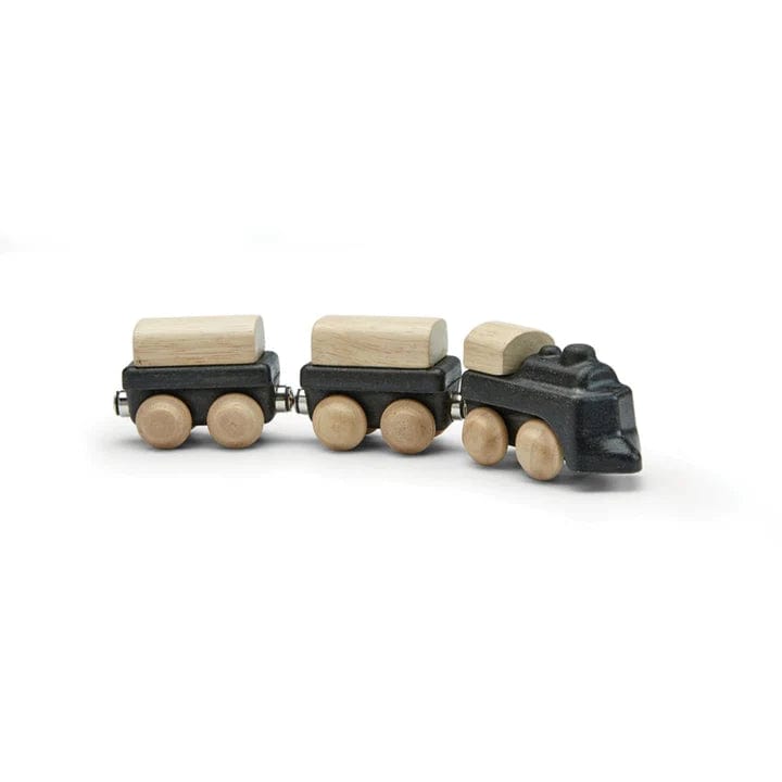 Classic Train Plan Toys Lil Tulips