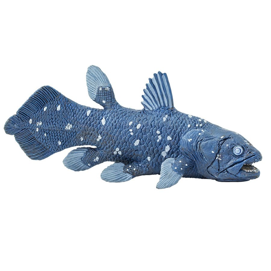 Coelacanth Toy