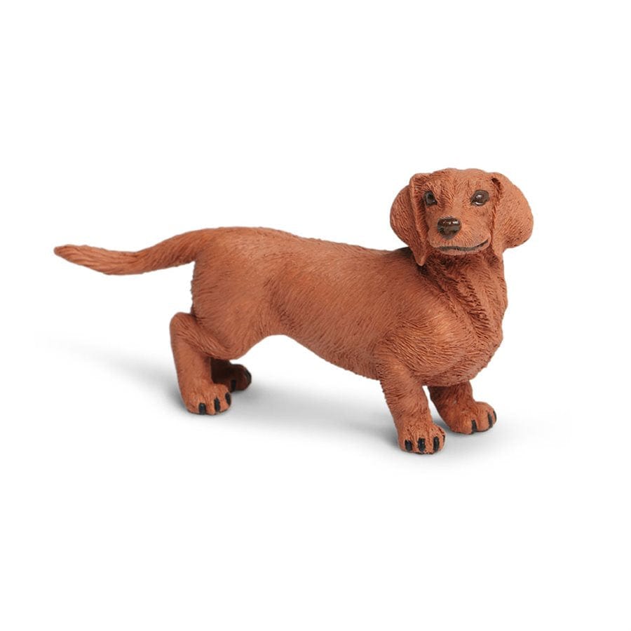 http://www.liltulips.com/cdn/shop/products/dachshund-toy-safari-ltd-lil-tulips-7682624192630.jpg?v=1669790473