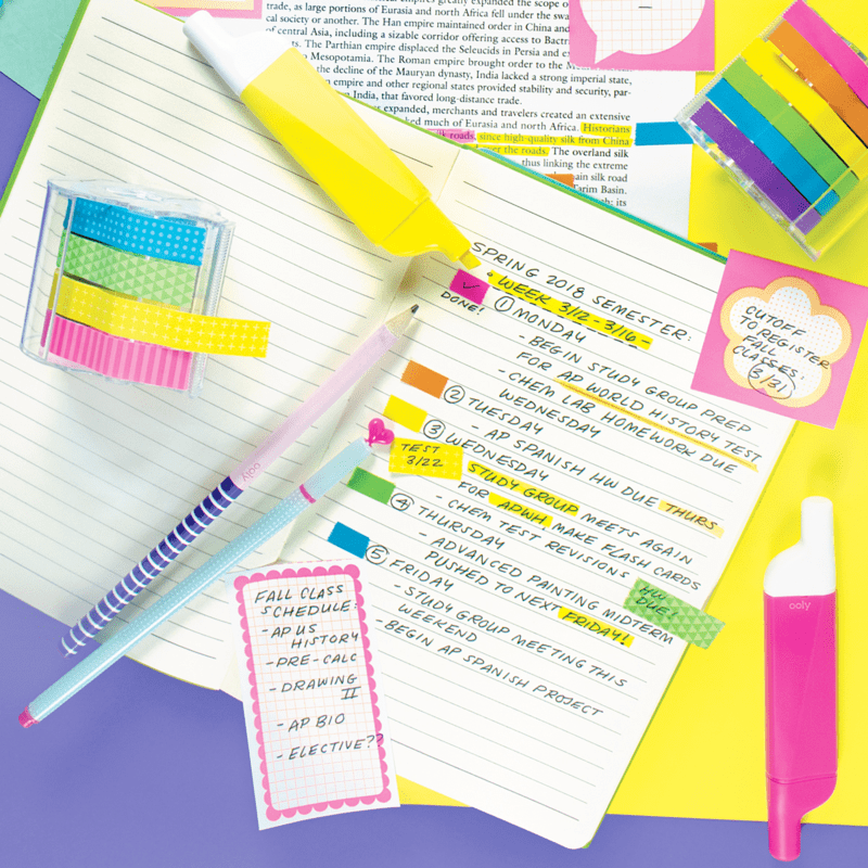 Do-Overs Erasable Highlighters OOLY Lil Tulips