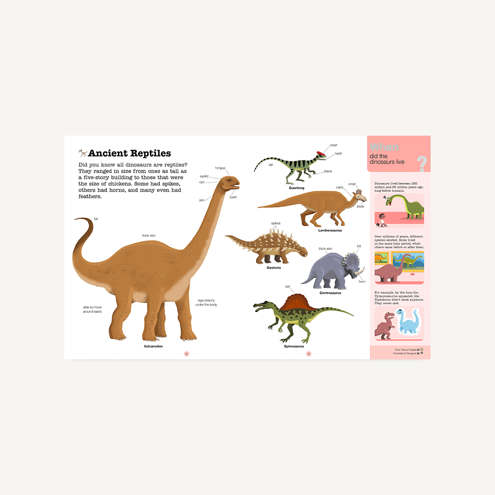 Do You Know?: Dinosaurs and the Prehistoric World Chronicle Books Lil Tulips