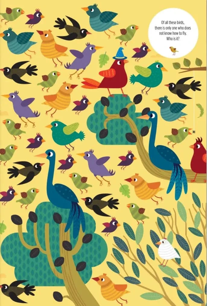 Find Me! Sky Book Wellspring Lil Tulips