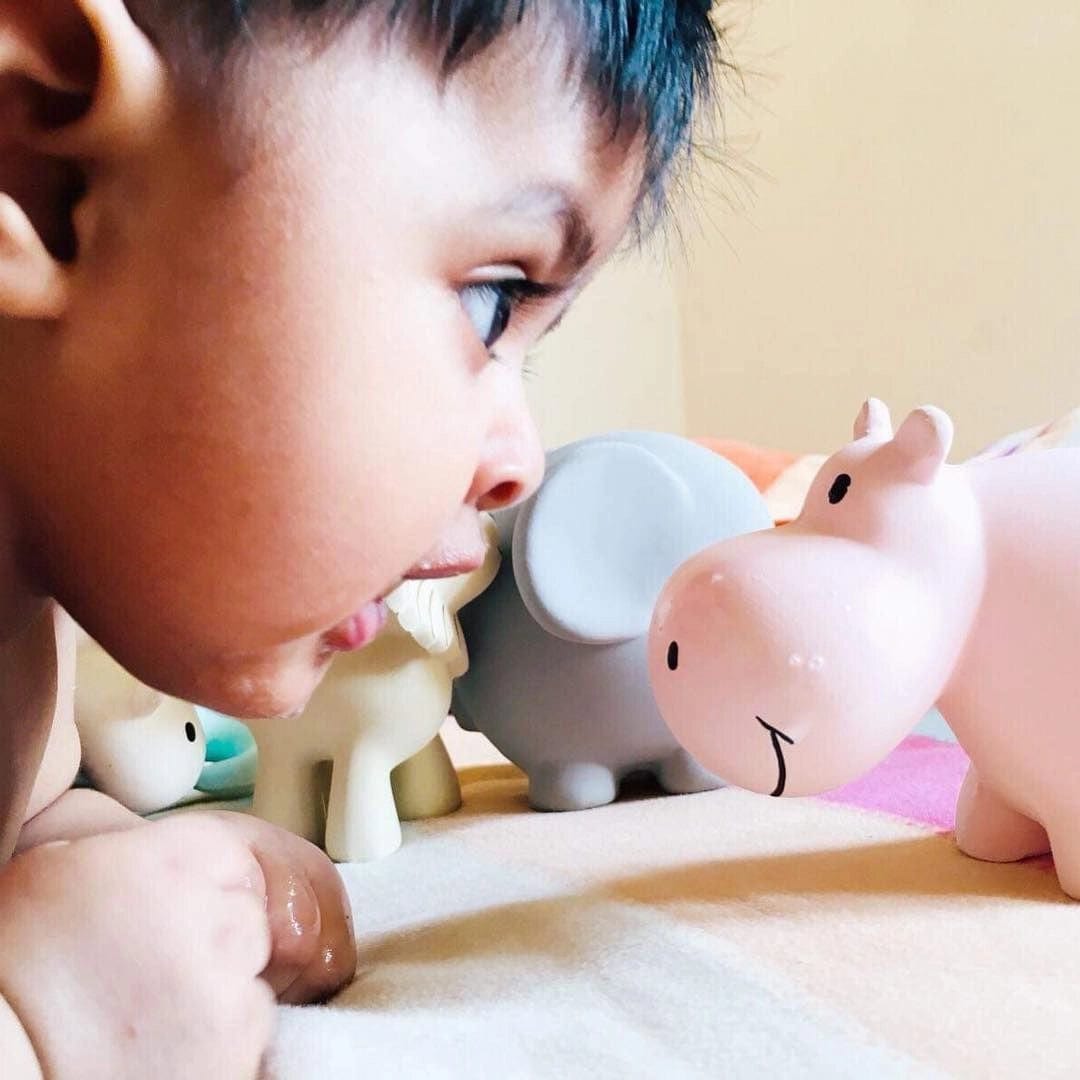 Hippo Natural Rubber Teether, Rattle & Bath Toy Tikiri Toys Lil Tulips