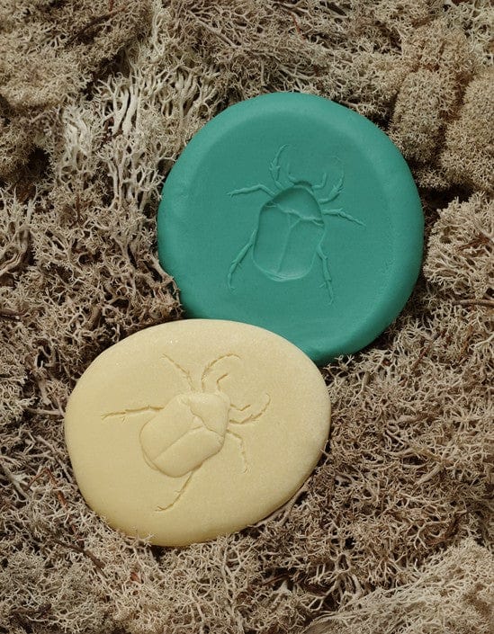Let’s Investigate – Bugs Yellow Door US LLC Lil Tulips