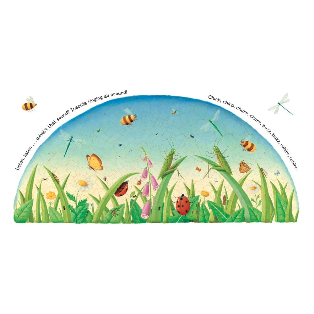 Listen, Listen Board Book Barefoot Books Books Lil Tulips