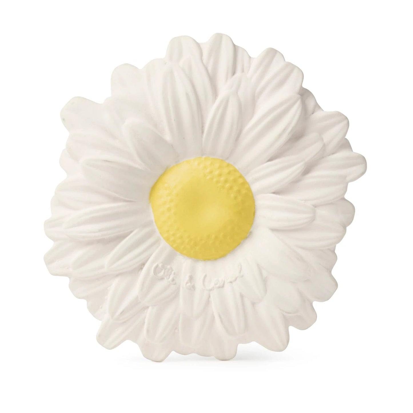 Margarita the Daisy Oli & Carol Lil Tulips