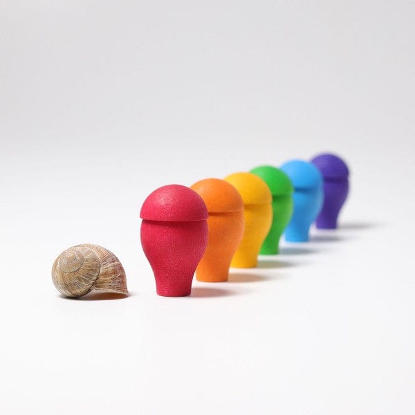 Rainbow Mushrooms Grimm's Lil Tulips