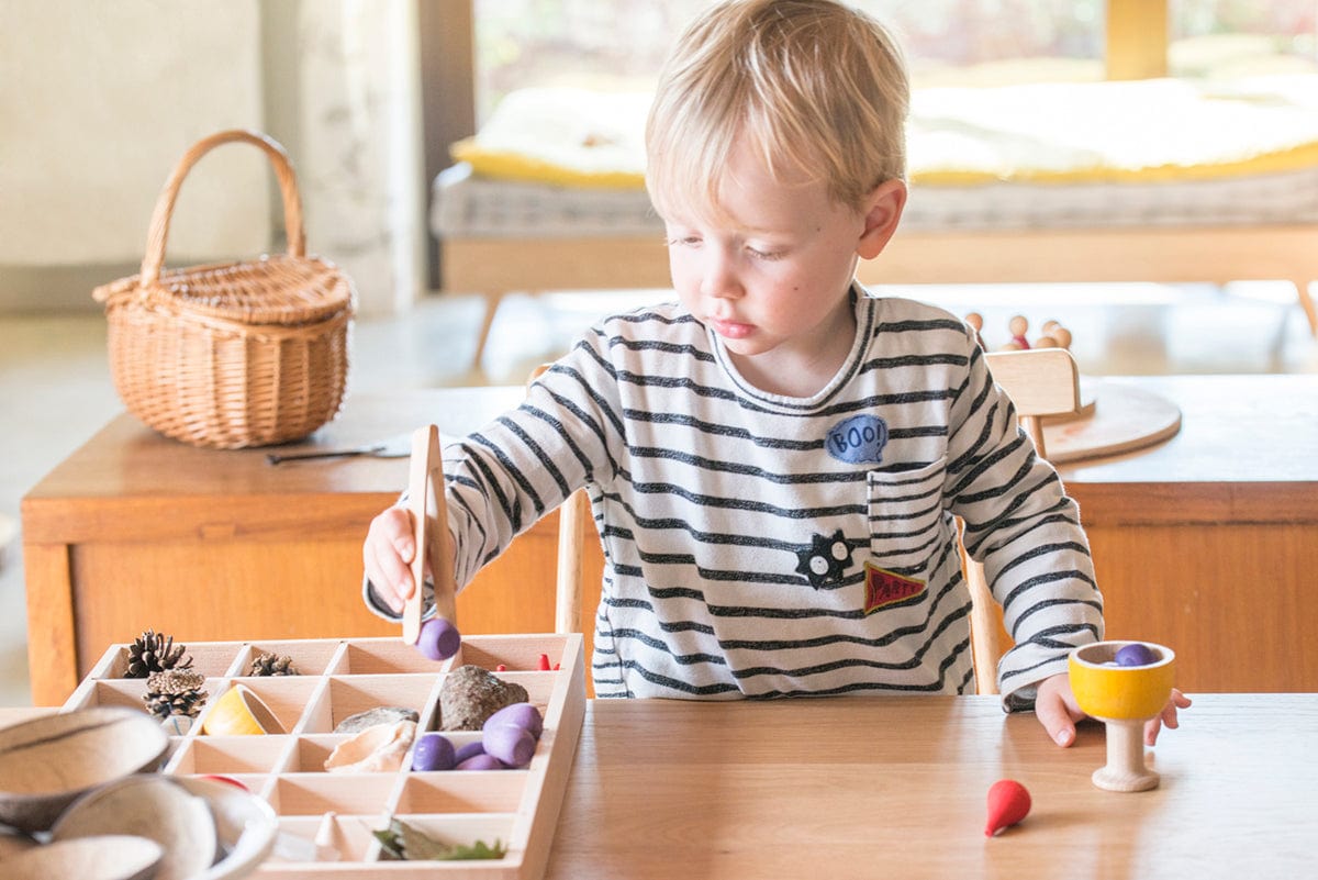 Tinker Tray Sorting Grapat Lil Tulips