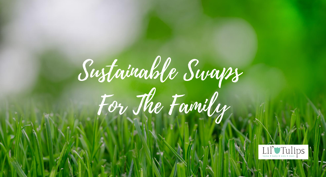 Sustainable Swaps For The Family