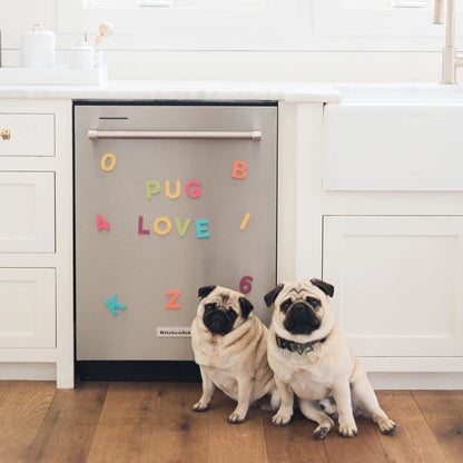 2" 36pc Rainbow Pop Magnetic Letters