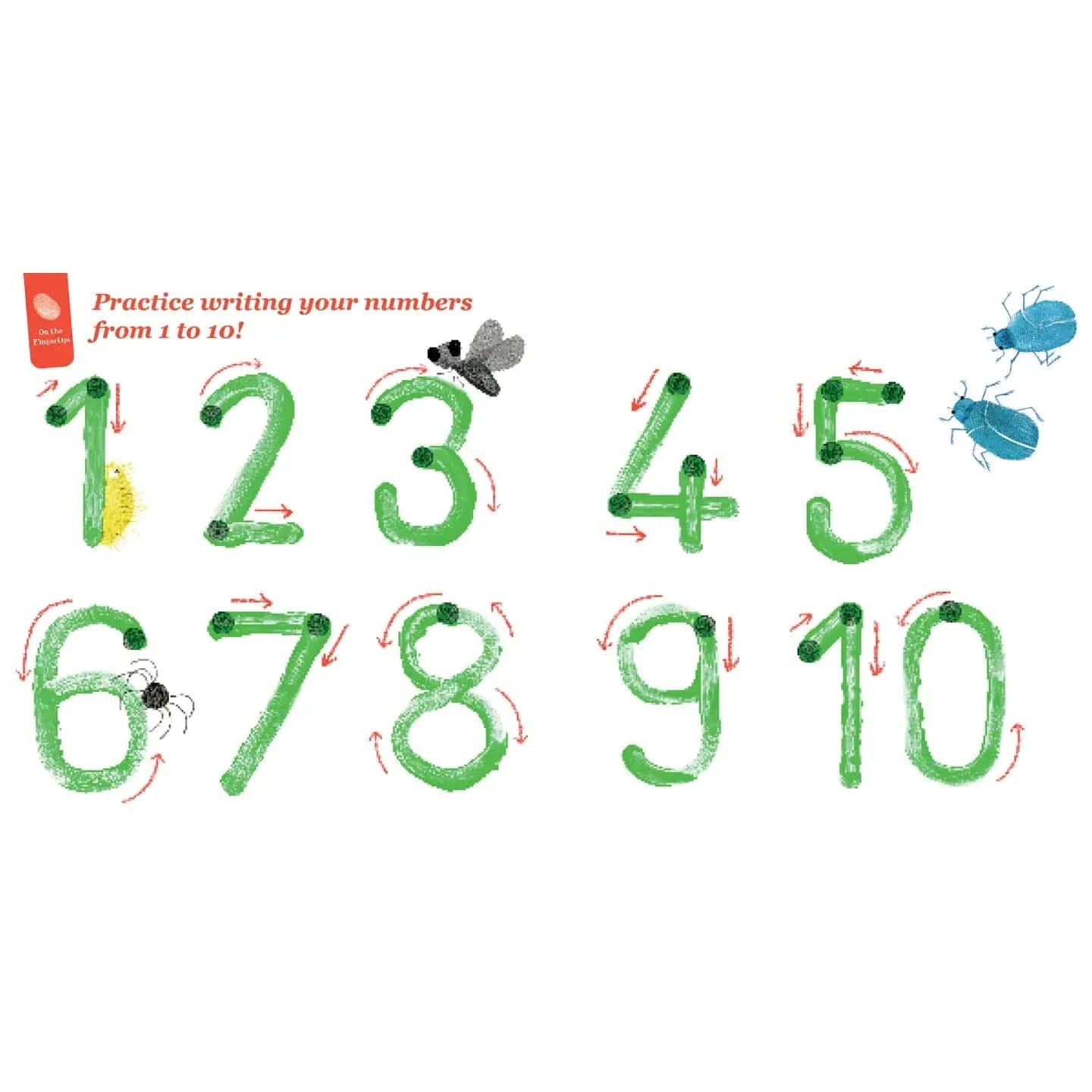 1, 2, 3, Lili's Counting Schiffer Kids Books Lil Tulips
