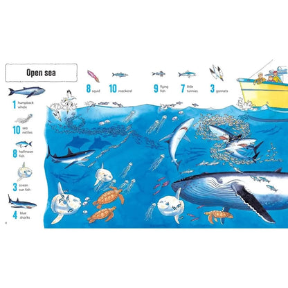 1001 Things To Spot in the Sea Harper Collins Childrens Lil Tulips