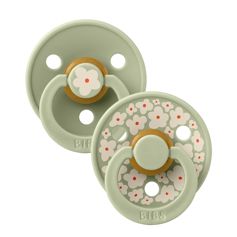 BiBS Pacifier Studio Colour 2 Pack Jasmine - Sage Mix