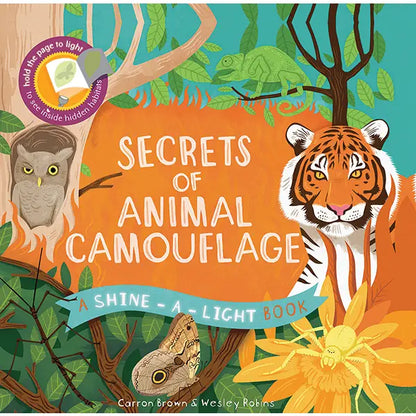 Shine-A-Light: Secrets of Animal Camouﬂage