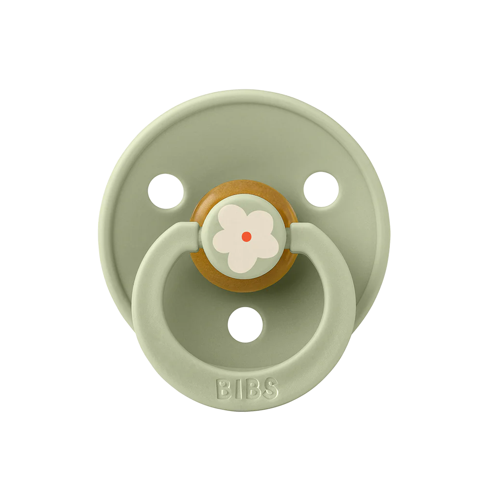 BiBS Pacifier Studio Colour 2 Pack Jasmine - Sage Mix