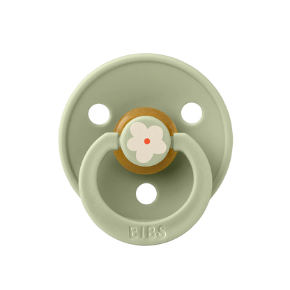 BiBS Pacifier Studio Colour 2 Pack Jasmine - Sage Mix