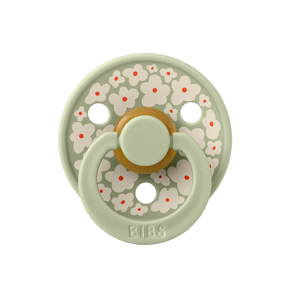 BiBS Pacifier Studio Colour 2 Pack Jasmine - Sage Mix