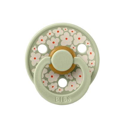 BiBS Pacifier Studio Colour 2 Pack Jasmine - Sage Mix