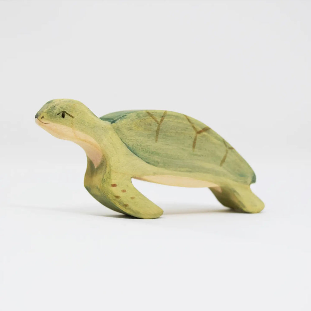 Wooden Turtle